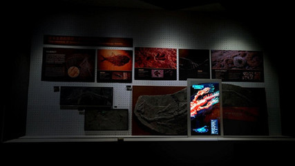 AR增強(qiáng)現(xiàn)實(shí)展項(xiàng)在展廳展館設(shè)計(jì)中的應(yīng)用 數(shù)字文化創(chuàng)意內(nèi)容服務(wù)新紀(jì)元